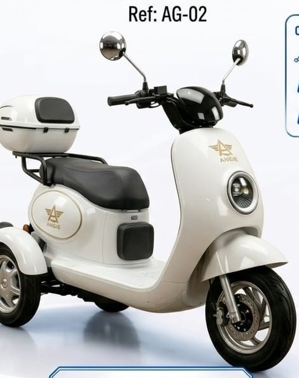 Angie Motors AG 02 Triciclo