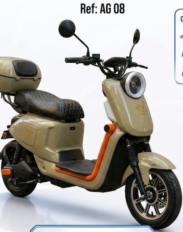 Angie Motors AG 08 1000W