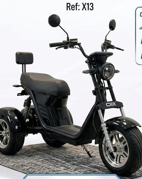 Angie Motors OEK X13
