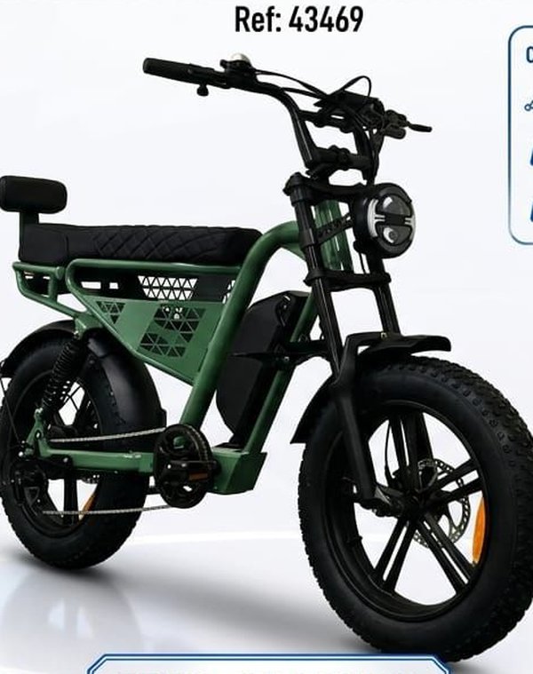 Worldbike EBA 220 Verde 1000W